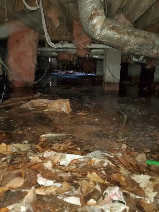Crawl space flood assessment for Leak Detection & Repair in Dumas