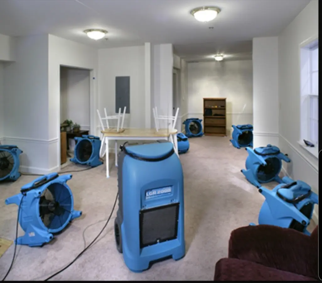 Air movers and dehumidifier setup for Water Extraction & Removal in Dumas