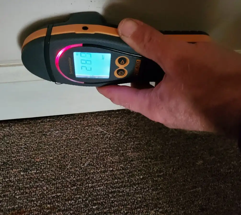 Moisture detection at baseboard during Mold Inspection & Testing in Dumas